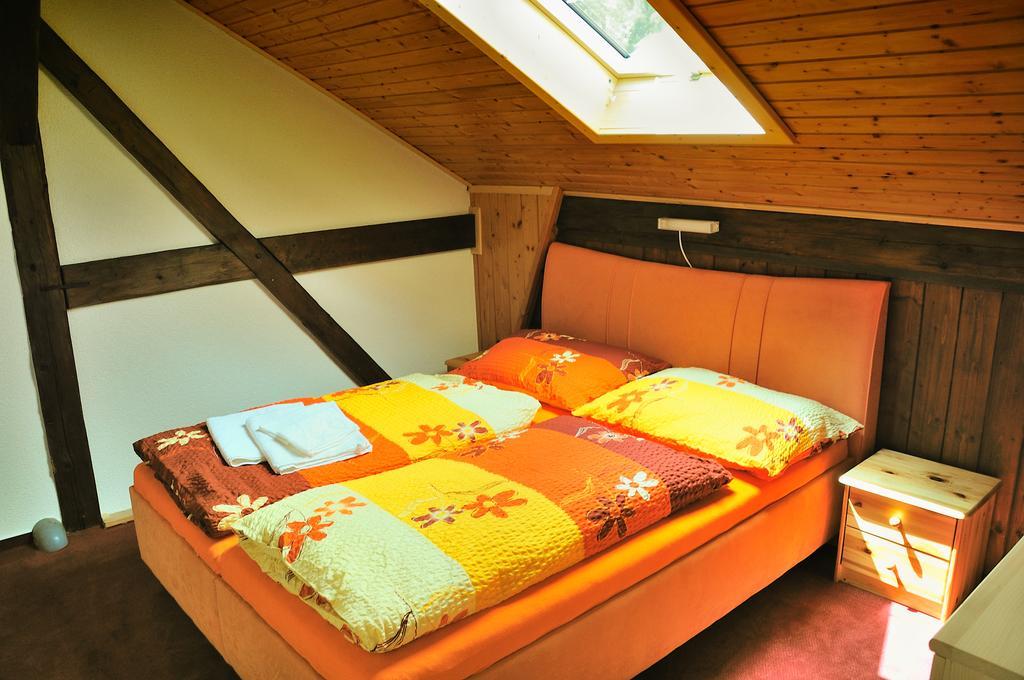 Penzion Kamenak Horni Plana Room photo